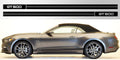 Mustang GT 500 Double Stripe Vinyl Decal