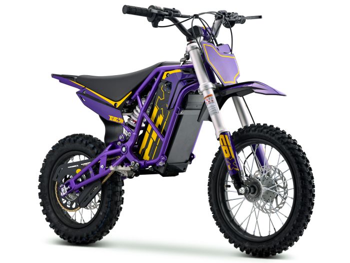 EBOX V3 60R Mini Bike